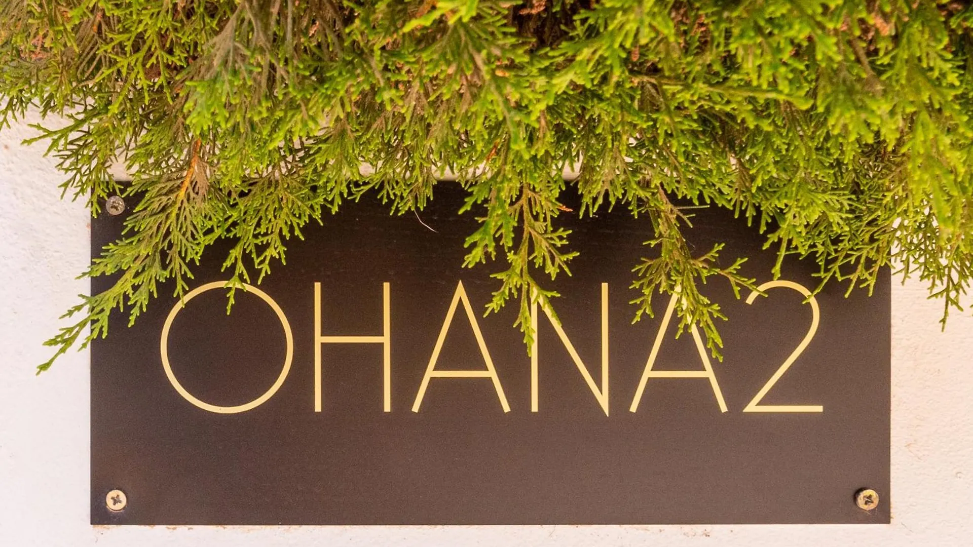 Ohana 2 Luxury Villa Malaga 0*,  Spain